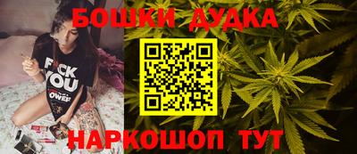 индика Тула