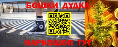 индика Тула