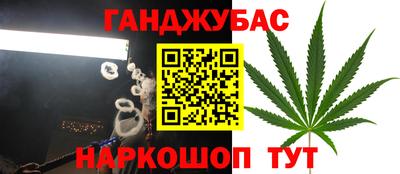 индика Тула