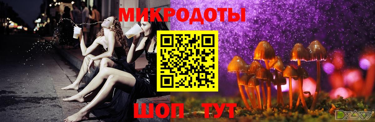Сунжа  где можно купить наркотик  Вход с VPN  Псилоцибиновые грибы прущие грибы 
